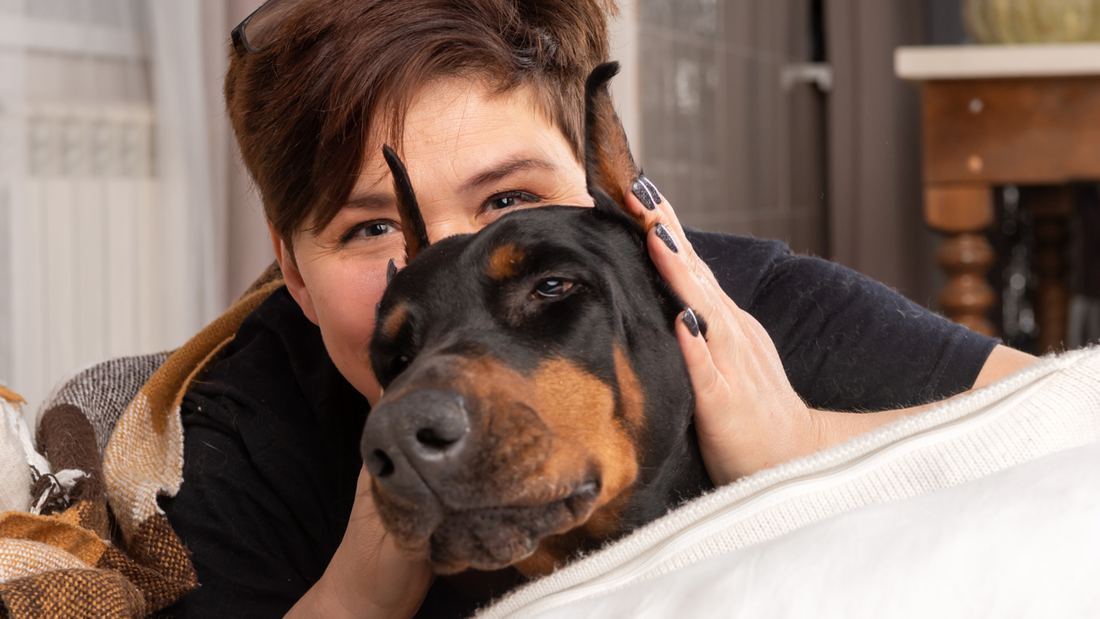 Skręt żołądka u dobermanów (GDV) – najgroźniejsze zagrożenie dla rasy, objawy i jak zapobiegać