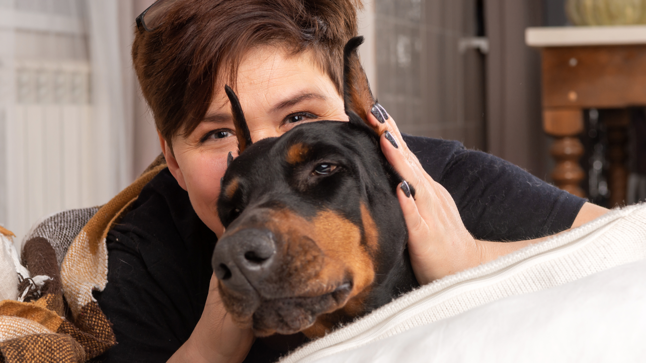 Skręt żołądka u dobermanów (GDV) – najgroźniejsze zagrożenie dla rasy, objawy i jak zapobiegać