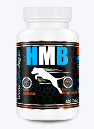 Game Dog HMB 120 tabletek – suplement na mięśnie dla dobermana z HMB-Ca 400 mg
