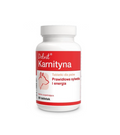 Karnityna Dolfos 90 tabletek – suplement z L-karnityną 100 mg dla dobermana na serce