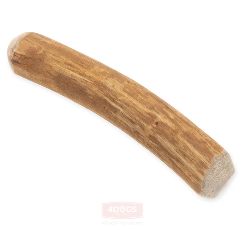 Patyk z drzewa cynamonowego ok. 23 cm średnica 32–45 mm – naturalny gryzak dla dobermana